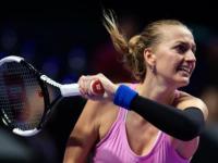  科维托娃最新消息 