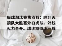 板球淘汰赛焦点战：岭北天狼队大胜塞外白虎队，外线火力全开。球迷期待下一战的简单介绍